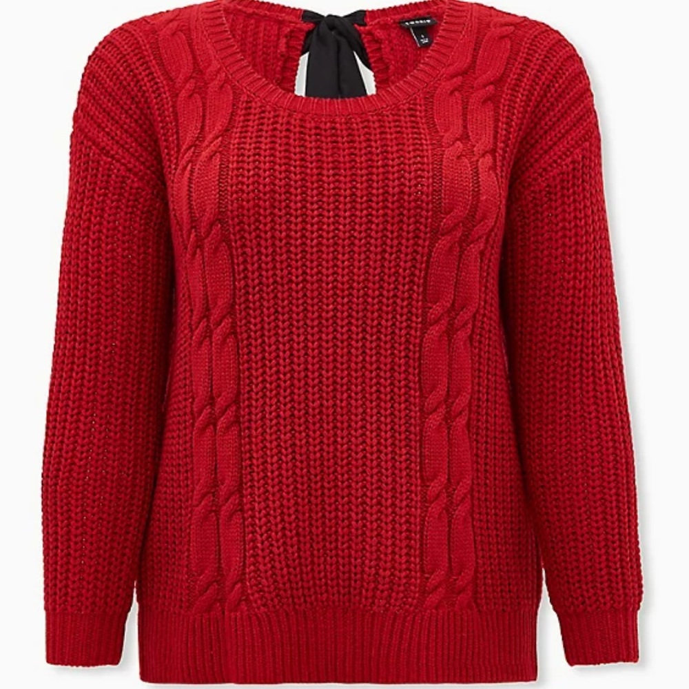 Torrid Sweater